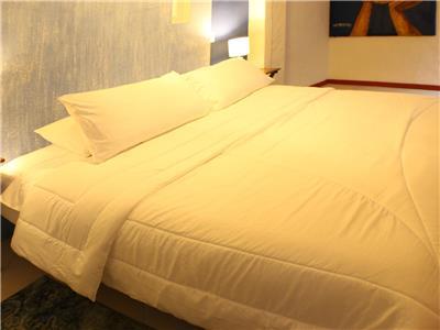 Palenque Casa By Hmc