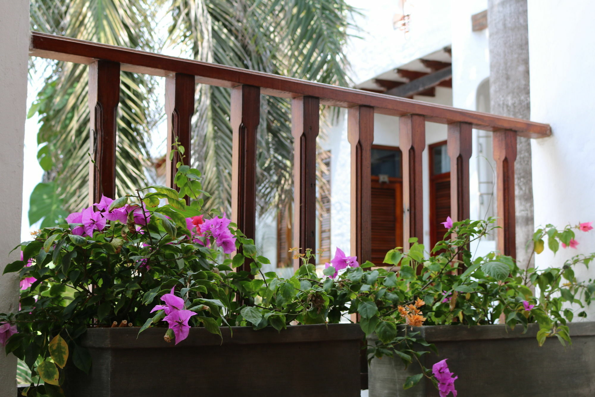 Palenque Casa By Hmc Hotel Cartagena