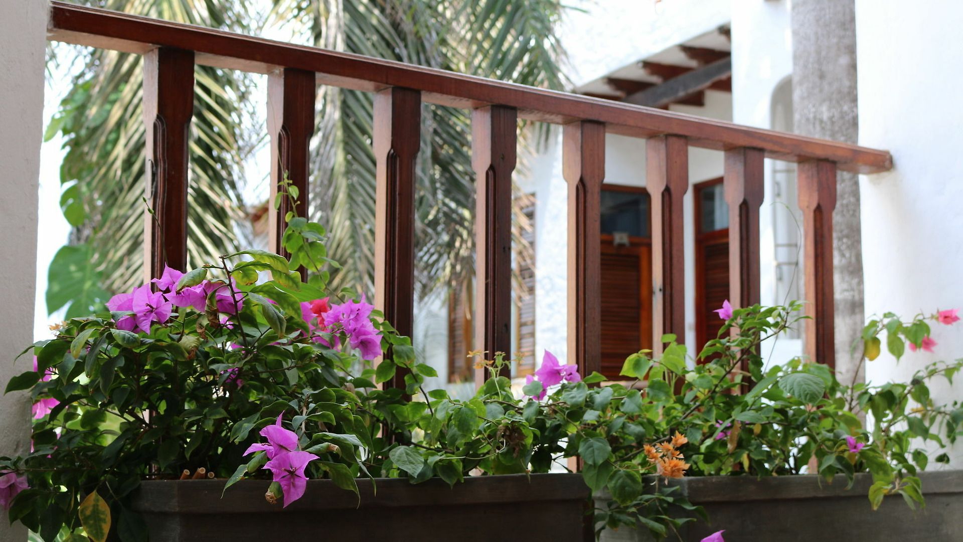 Palenque Casa Hotel By Hmc Hotel Cartagena